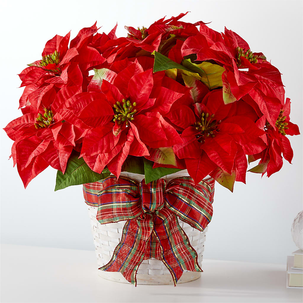 Happiest Holidays Poinsettia – Savannah Flower Market, Savannah GA