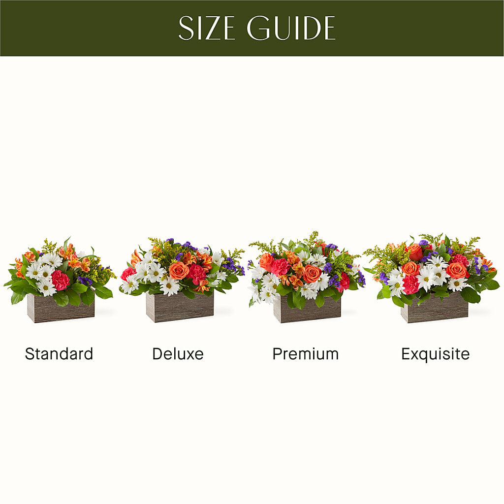 Oopsie Daisy Box Bouquet – Savannah Flower Market, Savannah GA