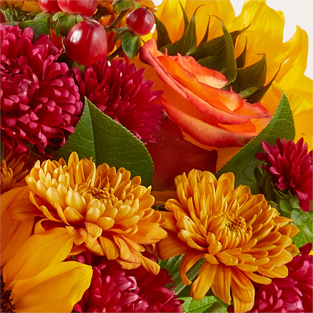 Sweater Season - A Florist Original – Savannah Flower Market, Savannah GA