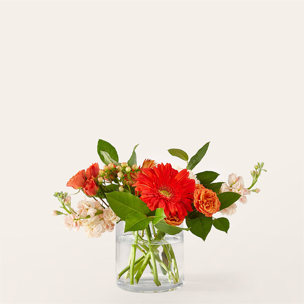 Paloma Please Bouquet – Savannah Flower Market, Savannah GA