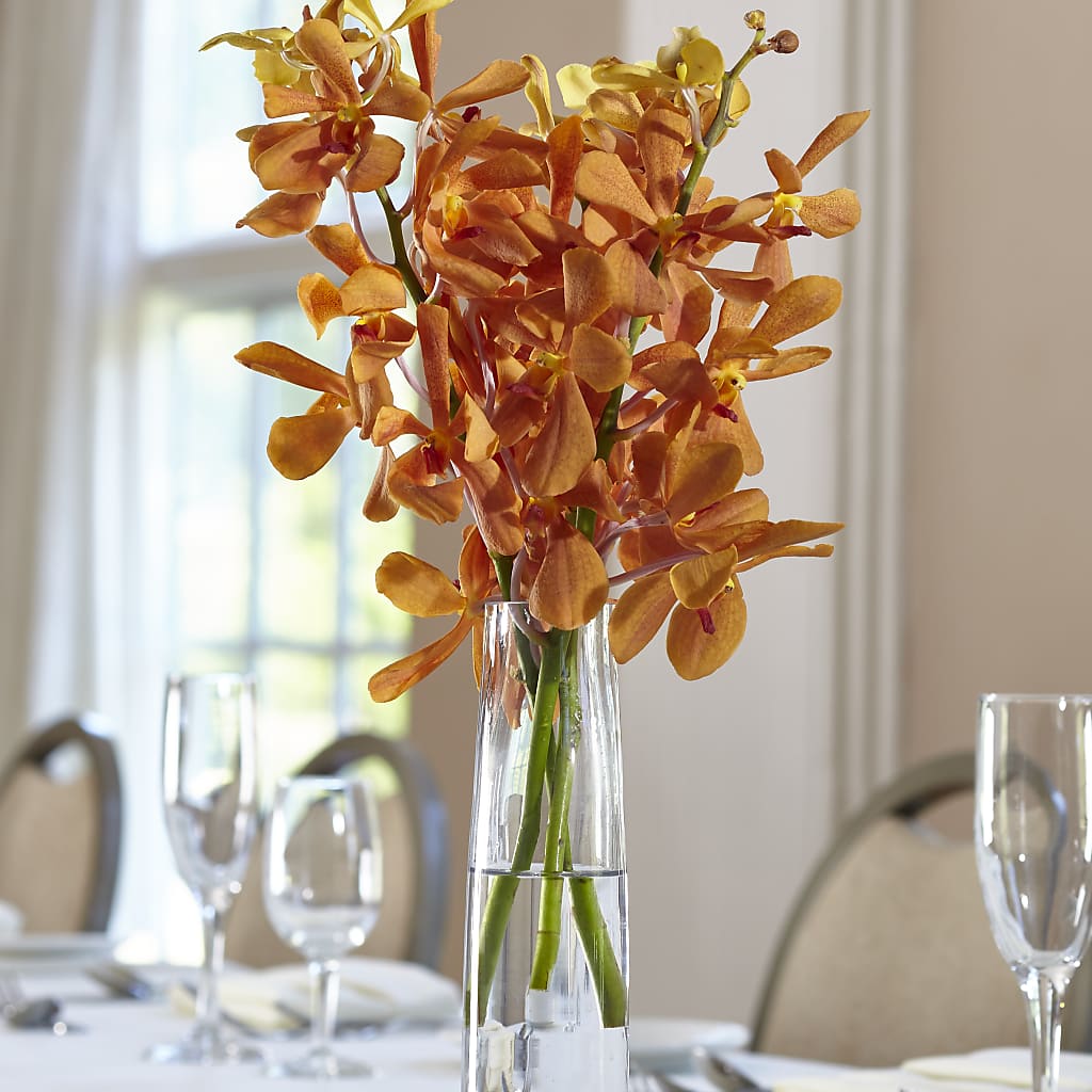 Orange Mokara Bud Vase – Savannah Flower Market, Savannah GA
