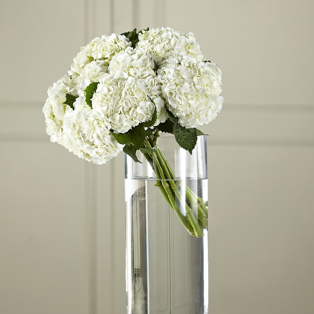 White Hydrangea Hand-Tied Bouquet – Savannah Flower Market, Savannah GA