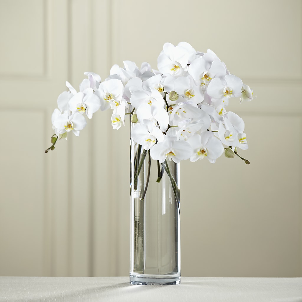 White Phalaenopsis Bouquet – Savannah Flower Market, Savannah GA