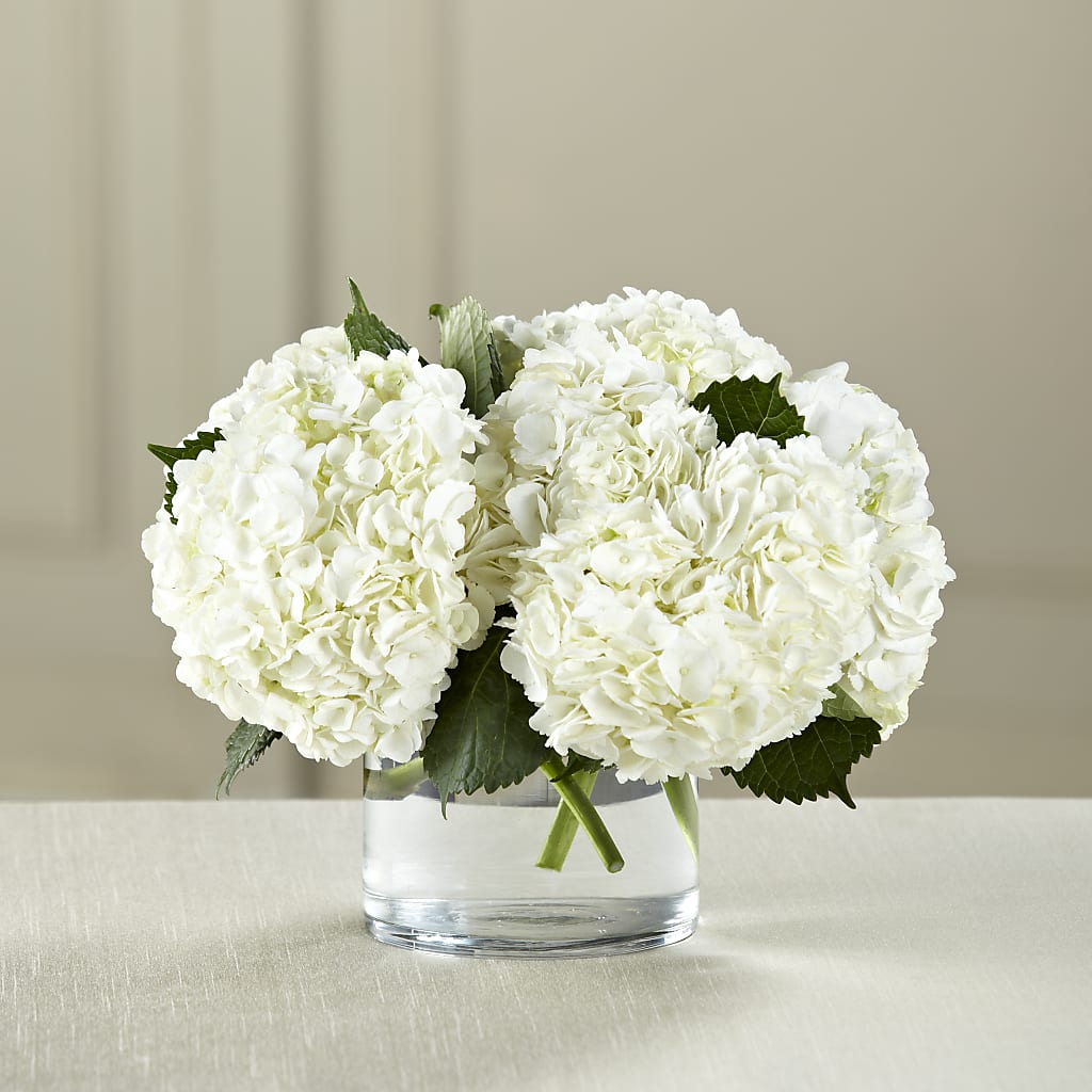 White Hydrangea Bouquet – Savannah Flower Market, Savannah GA