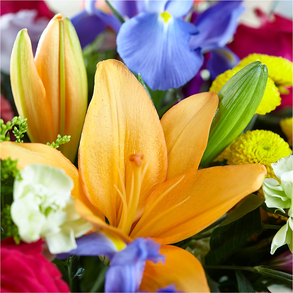 Bold & Bright – A Florist Original –  Savannah Flower Market, Savannah GA