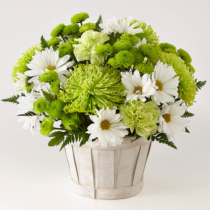 Lucky Charm Basket (Standard) –  Savannah Flower Market, Savannah GA