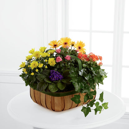 Gentle Blossoms Basket –  Savannah Flower Market, Savannah GA