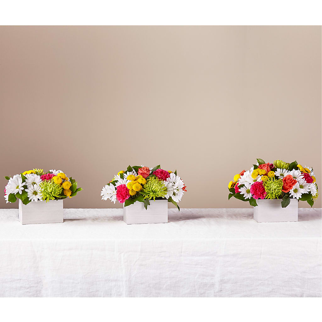 Sorbet Bouquet –  Savannah Flower Market, Savannah GA