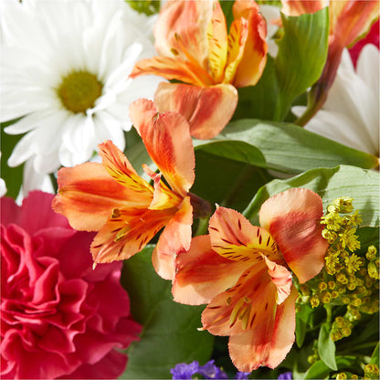 Oopsie Daisy Box Bouquet –  Savannah Flower Market, Savannah GA