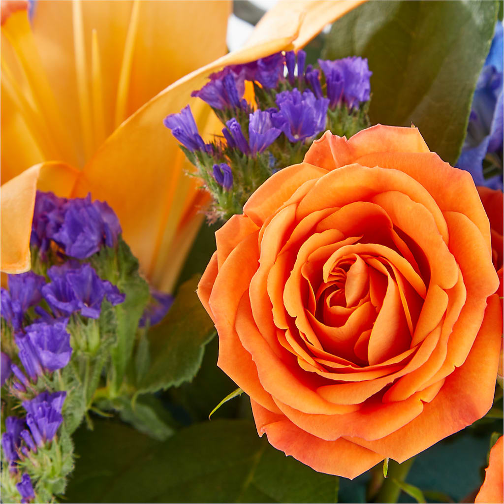 Radiant Citrus Box Bouquet –  Savannah Flower Market, Savannah GA