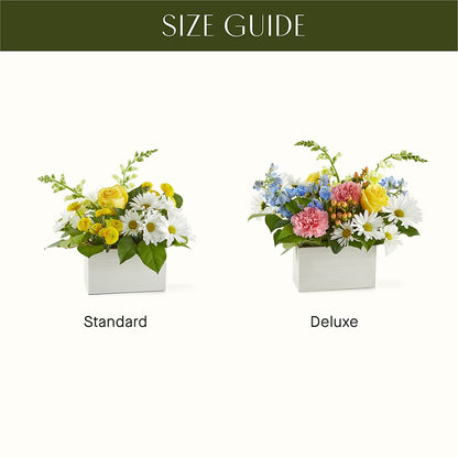 Sun Salutation Box Bouquet –  Savannah Flower Market, Savannah GA