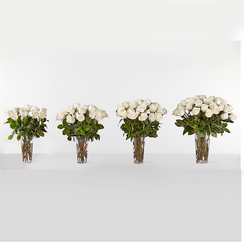 Long Stem White Rose Bouquet –  Savannah Flower Market, Savannah GA