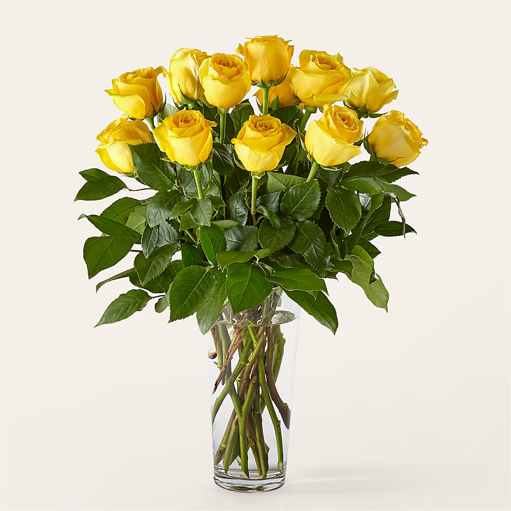 Long Stem Yellow Rose Bouquet –  Savannah Flower Market, Savannah GA