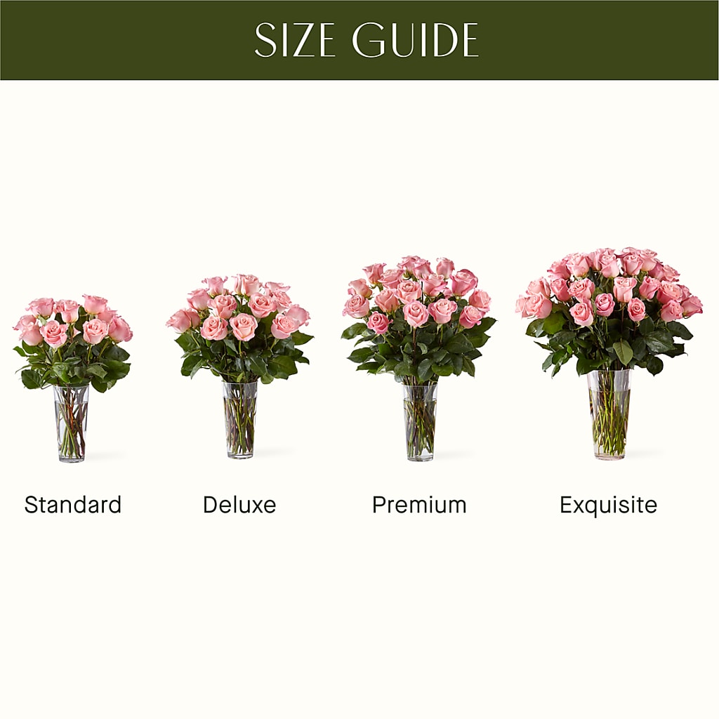 Long Stem Pink Rose Bouquet –  Savannah Flower Market, Savannah GA