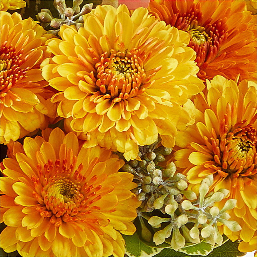 Peachy Pumpkin –  Savannah Flower Market, Savannah GA