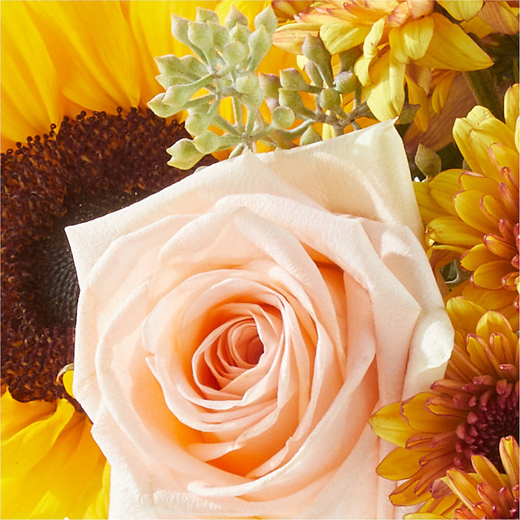 Pumpkin to Talk About Bouquet –  Savannah Flower Market, Savannah GA