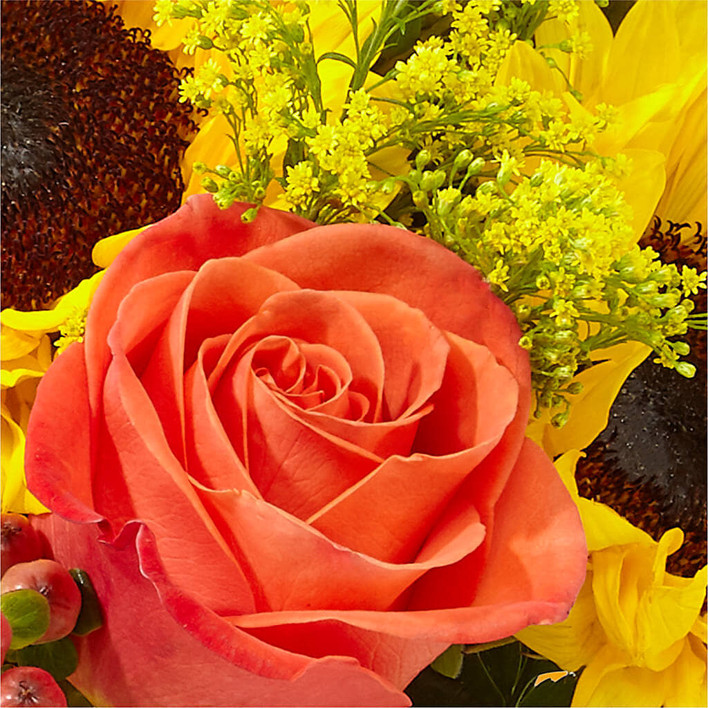 Pick of the Patch Pumpkin Bouquet –  Savannah Flower Market, Savannah GA
