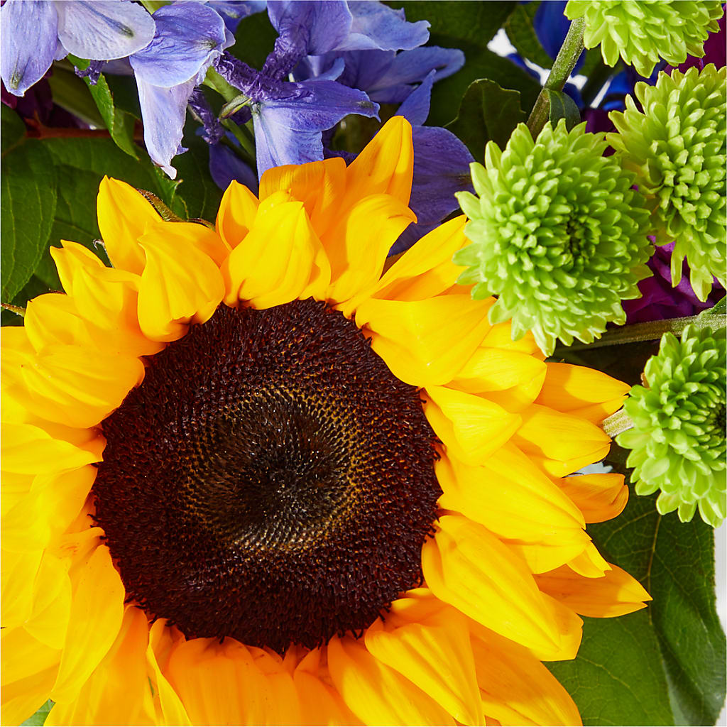 Catching Rays Bouquet –  Savannah Flower Market, Savannah GA