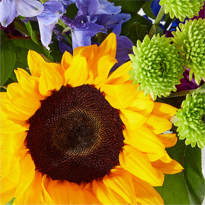 Catching Rays Bouquet –  Savannah Flower Market, Savannah GA