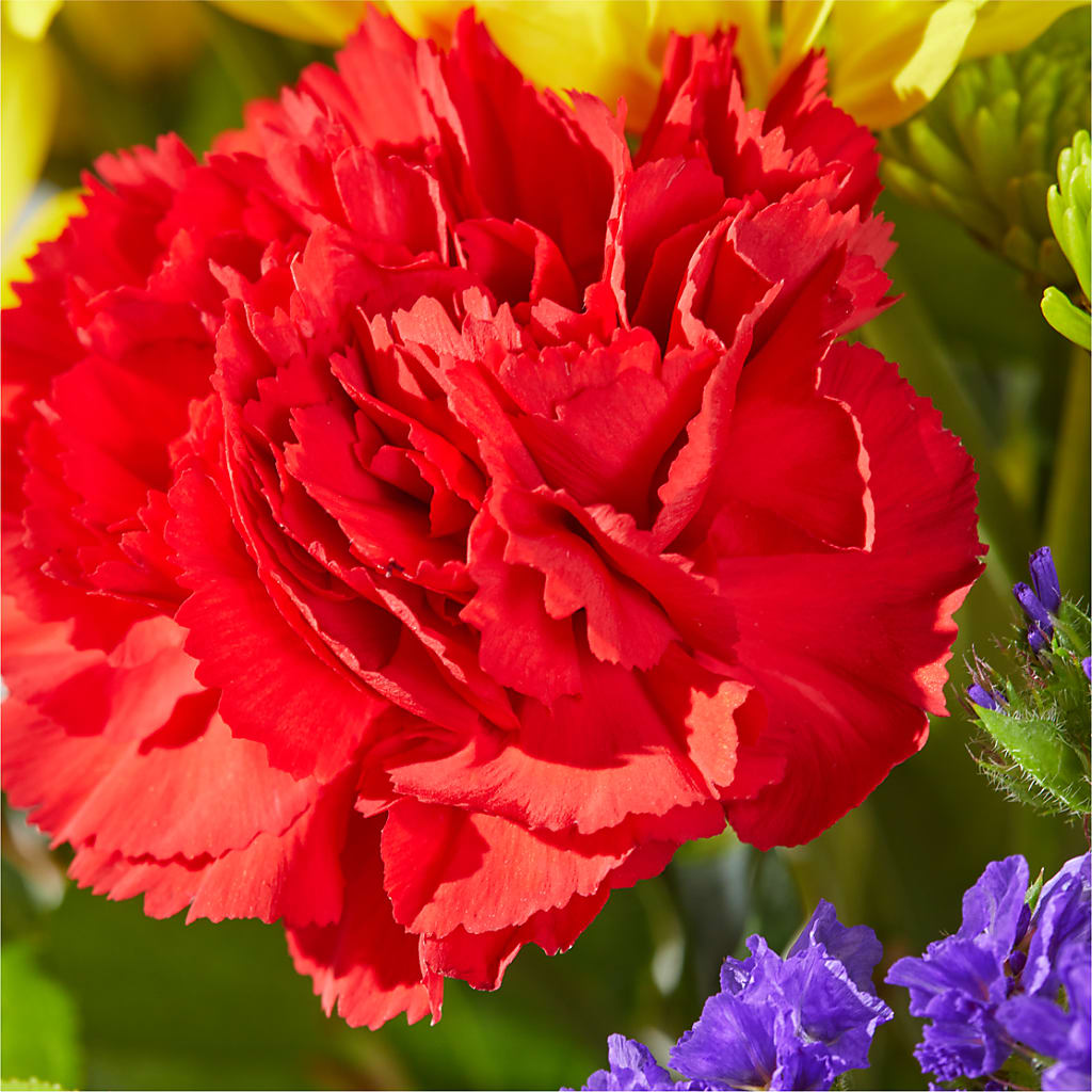 Brighter Days Bouquet –  Savannah Flower Market, Savannah GA
