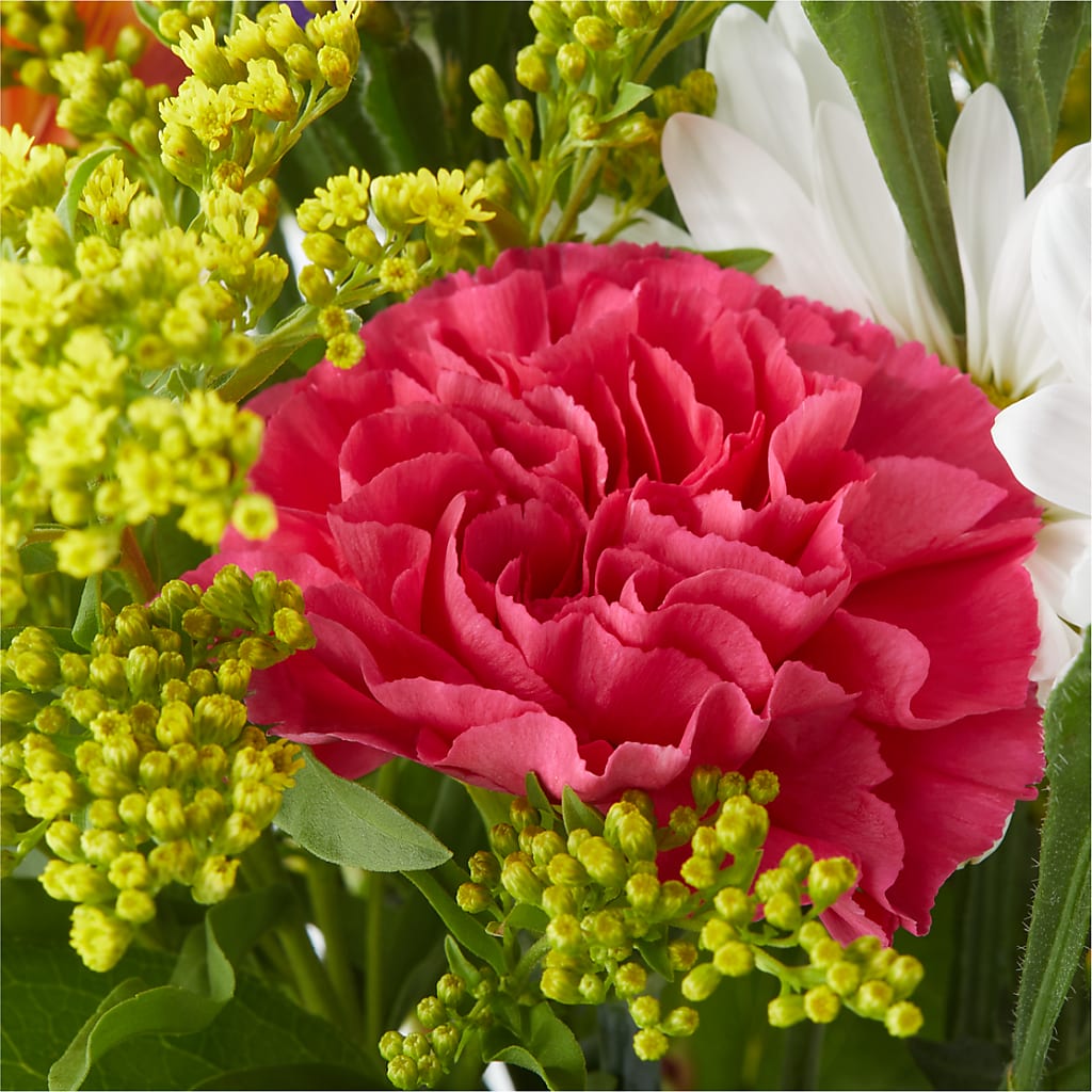 Oopsie Daisy Bouquet –  Savannah Flower Market, Savannah GA