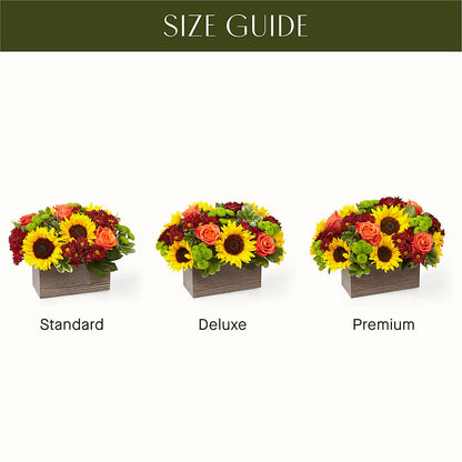 Happy Harvest Garden –  Savannah Flower Market, Savannah GA
