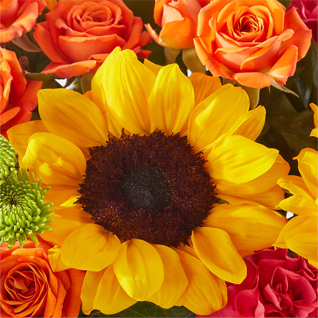 Sun-drenched Blooms Box Bouquet –  Savannah Flower Market, Savannah GA