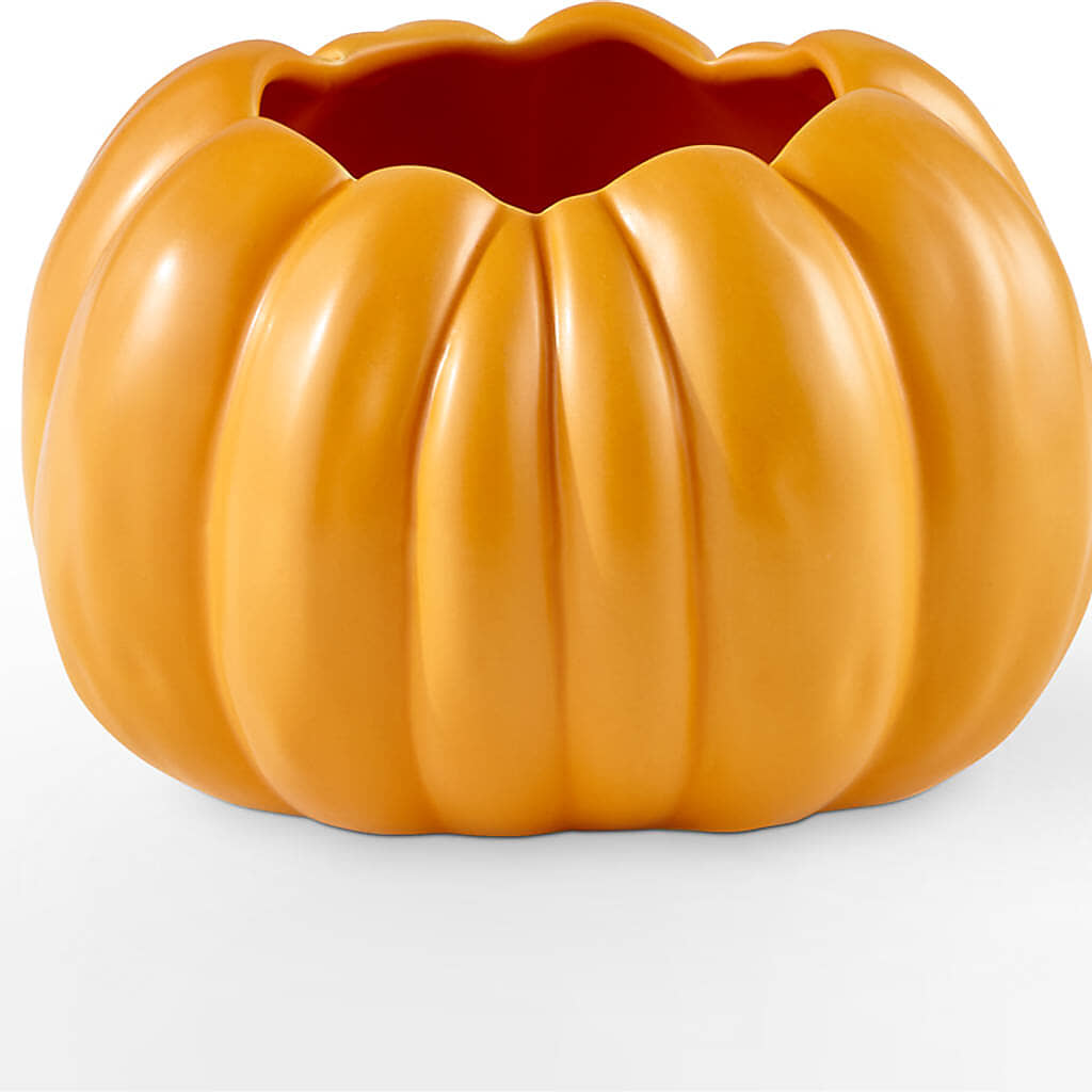 Pick of the Patch Pumpkin Bouquet –  Savannah Flower Market, Savannah GA