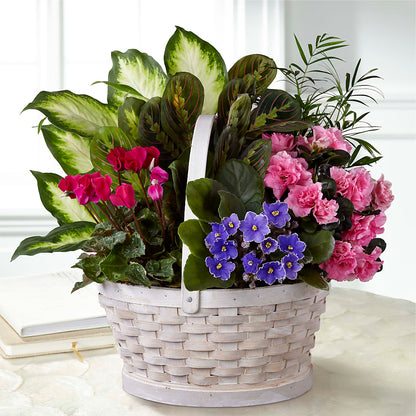 Peaceful Garden Planter –  Savannah Flower Market, Savannah GA