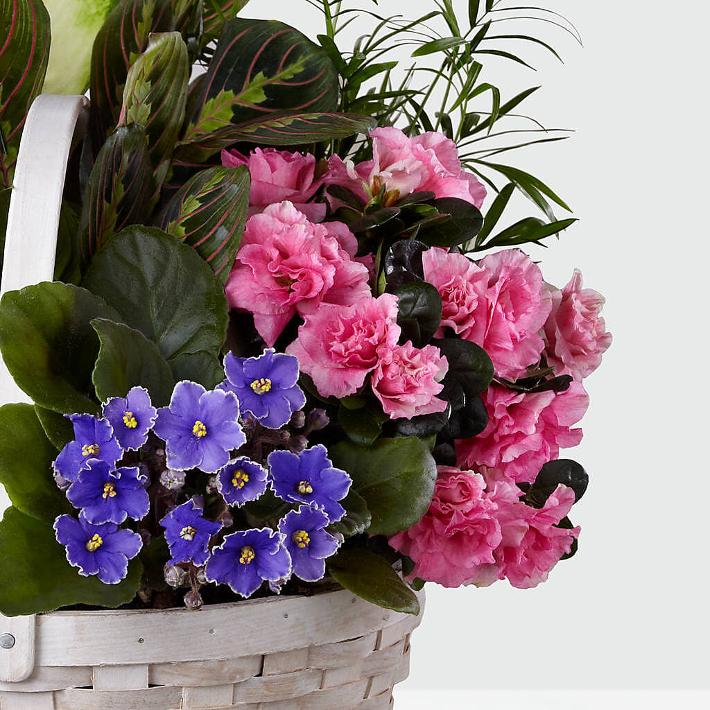 Peaceful Garden Planter –  Savannah Flower Market, Savannah GA