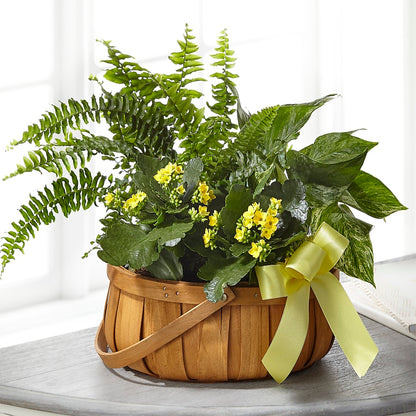 Always Dear Dishgarden –  Savannah Flower Market, Savannah GA