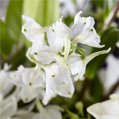 Classic Ivory – A Florist Original –  Savannah Flower Market, Savannah GA
