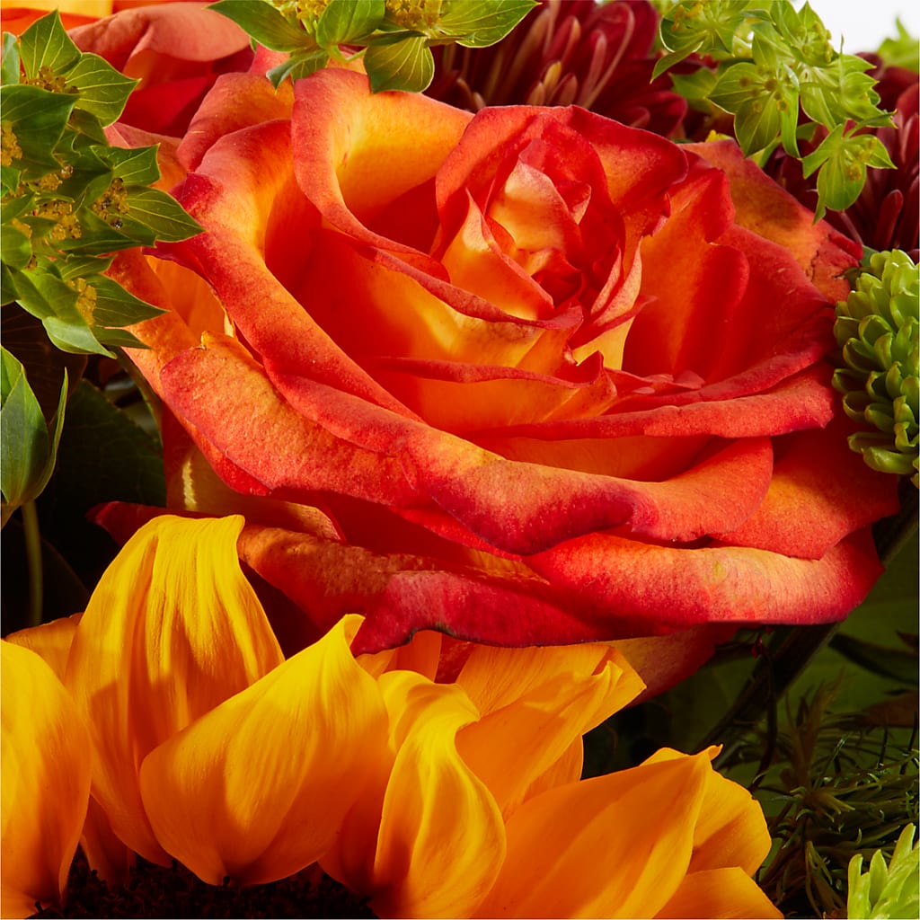 Harvest Festival Bouquet –  Savannah Flower Market, Savannah GA