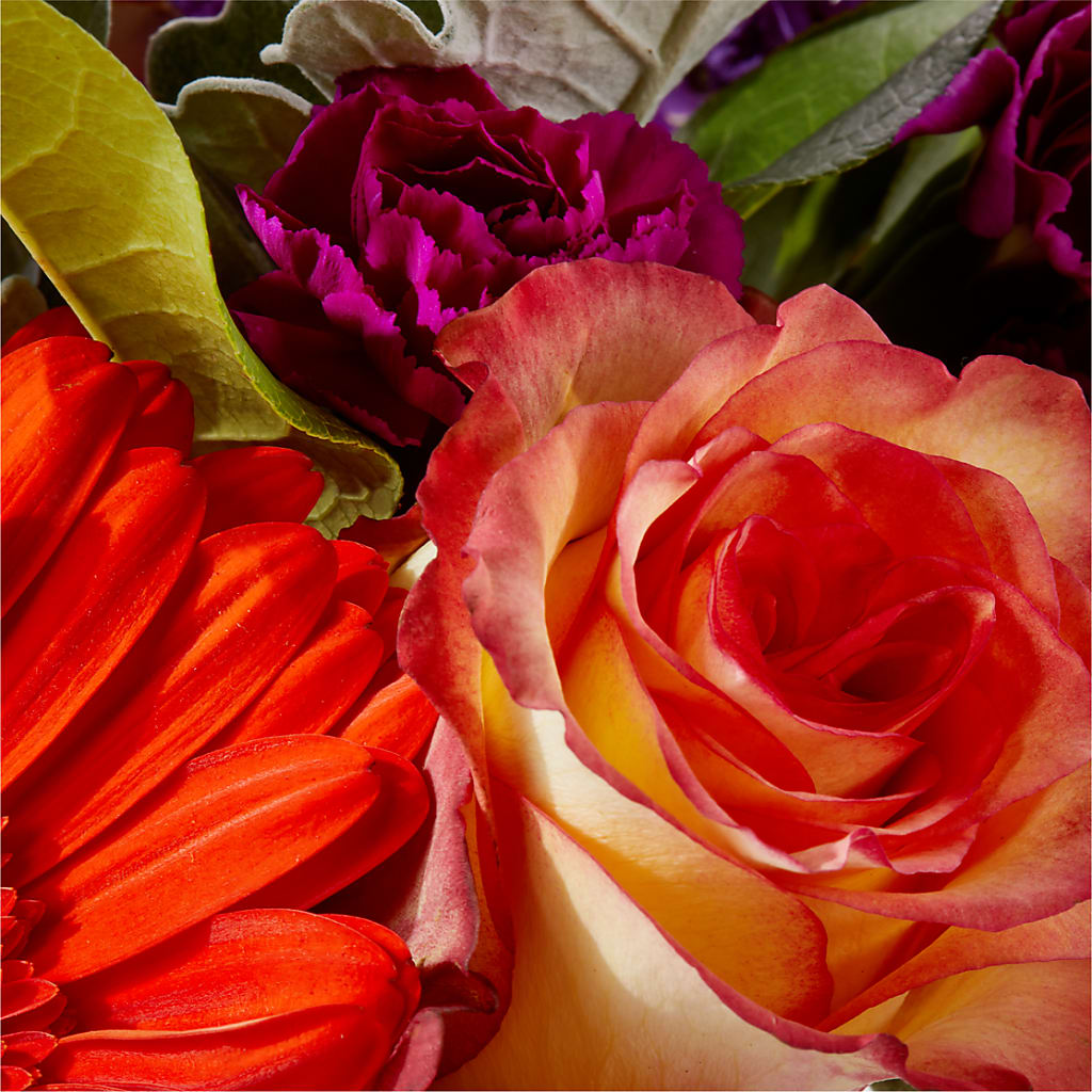 Sangria Bouquet –  Savannah Flower Market, Savannah GA