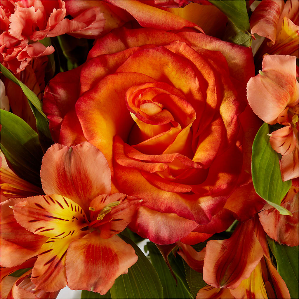 Apricot Glow Bouquet –  Savannah Flower Market, Savannah GA