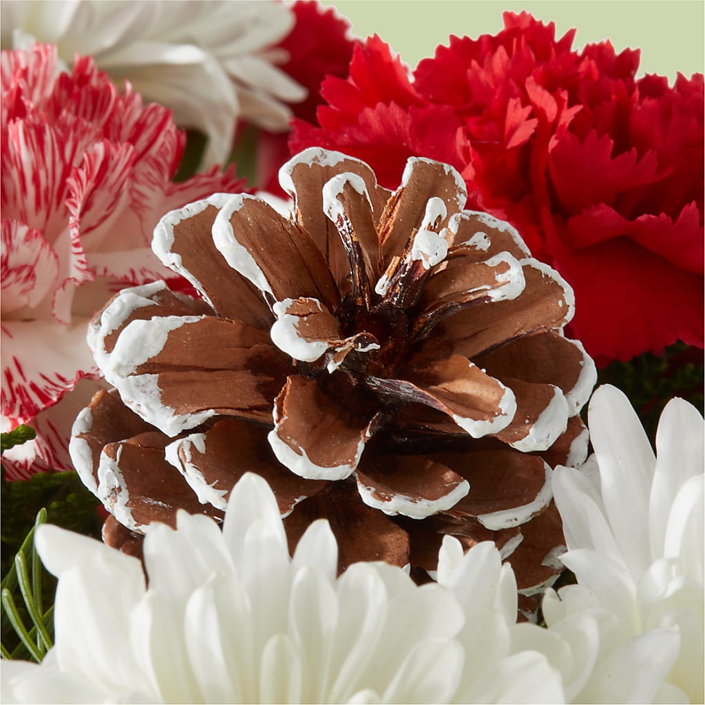 Candy Cane Lane Bouquet –  Savannah Flower Market, Savannah GA