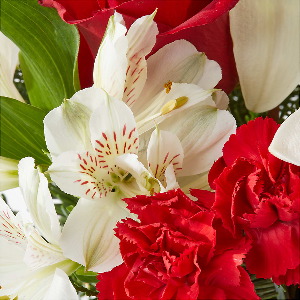 Holiday Season Bouquet –  Savannah Flower Market, Savannah GA