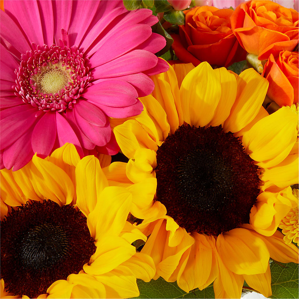 Beach Day Bouquet –  Savannah Flower Market, Savannah GA