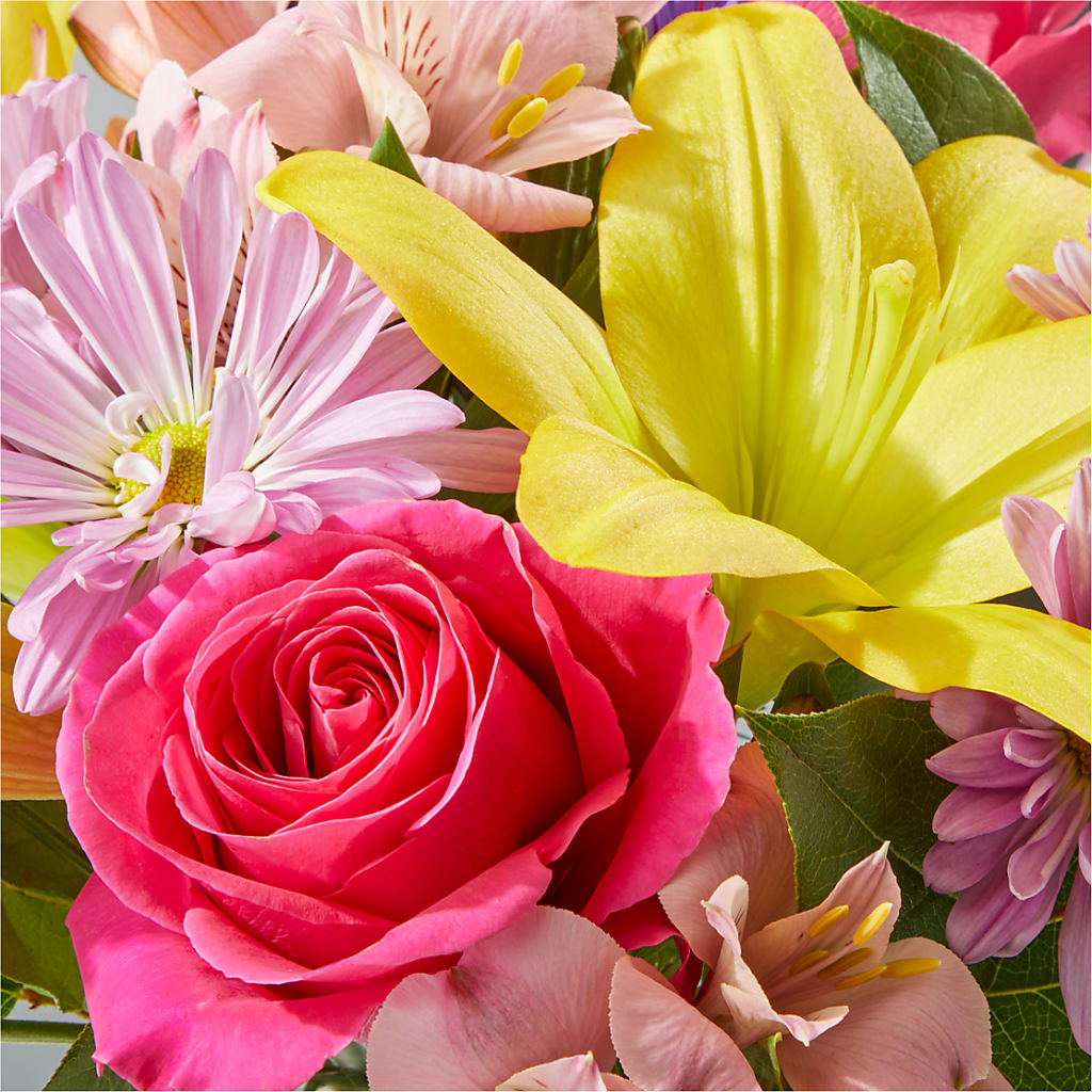 Sprinkles Bouquet –  Savannah Flower Market, Savannah GA