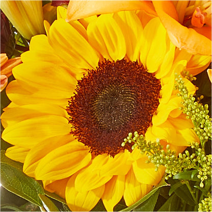 Seasons Change Bouquet –  Savannah Flower Market, Savannah GA