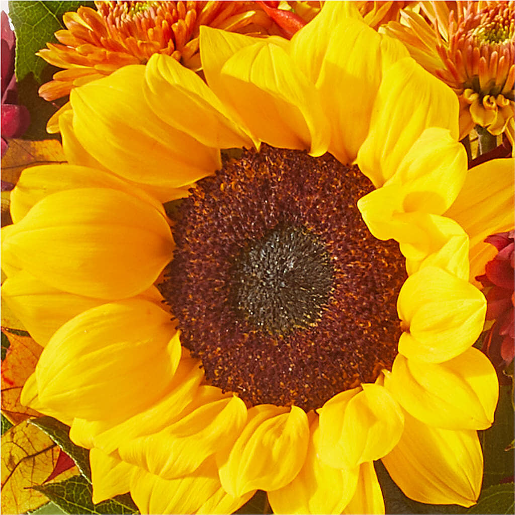 Sunny Side Bouquet –  Savannah Flower Market, Savannah GA