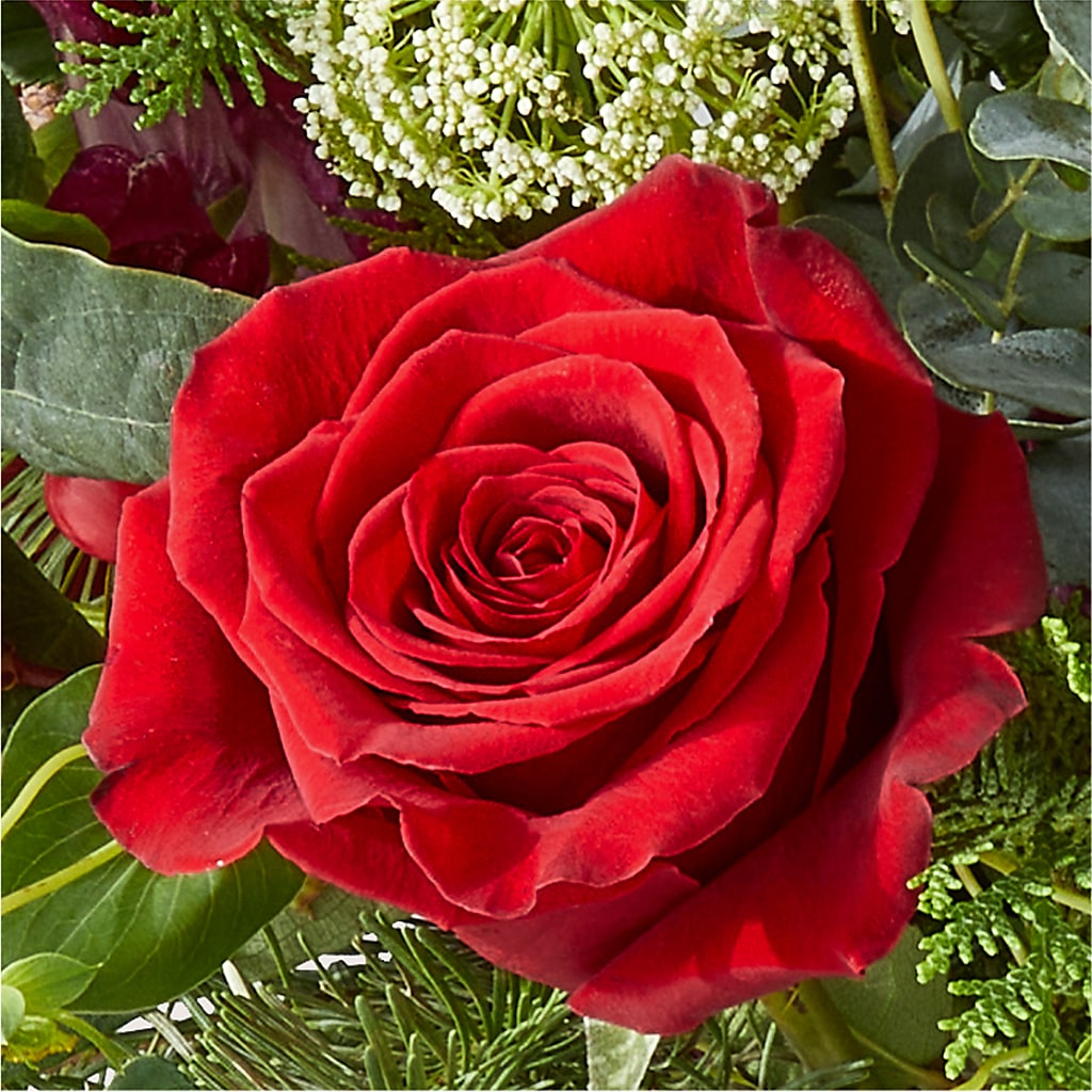 Cranberry Fizz Bouquet –  Savannah Flower Market, Savannah GA