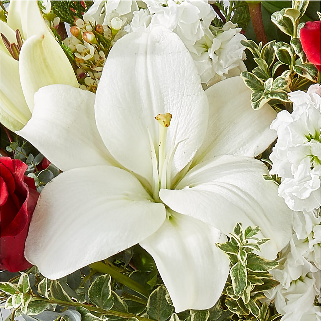 Twinkle Lights Bouquet –  Savannah Flower Market, Savannah GA