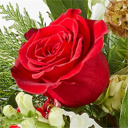 Deck the Halls Bouquet –  Savannah Flower Market, Savannah GA