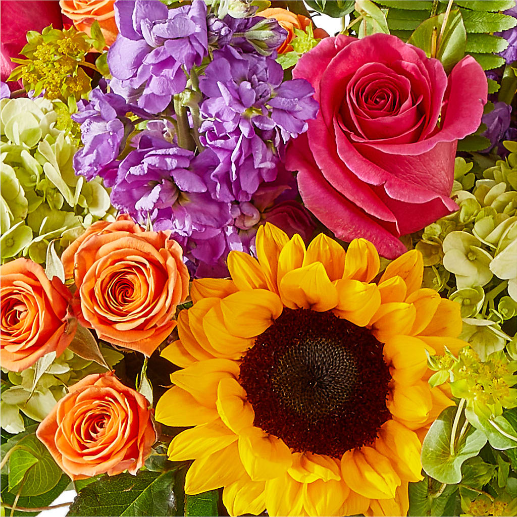 Vibrant Greetings Bouquet –  Savannah Flower Market, Savannah GA