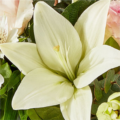 Ballet Slippers Bouquet –  Savannah Flower Market, Savannah GA