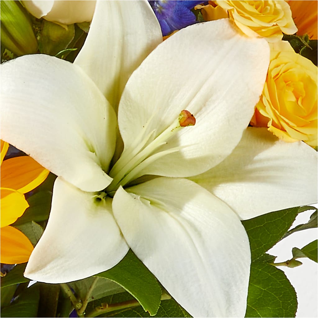 Wonderfully Sunny Bouquet –  Savannah Flower Market, Savannah GA