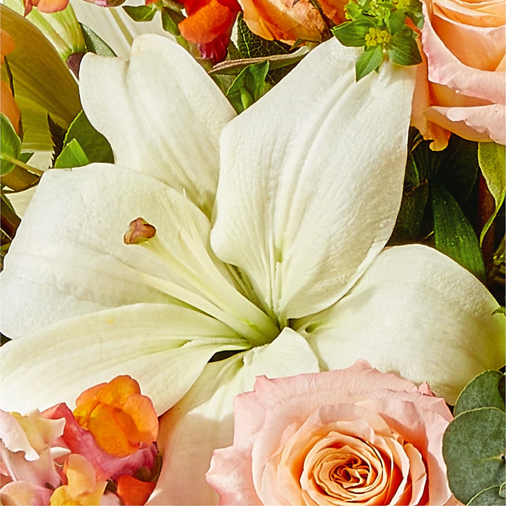 Grapefruit Splash Bouquet –  Savannah Flower Market, Savannah GA