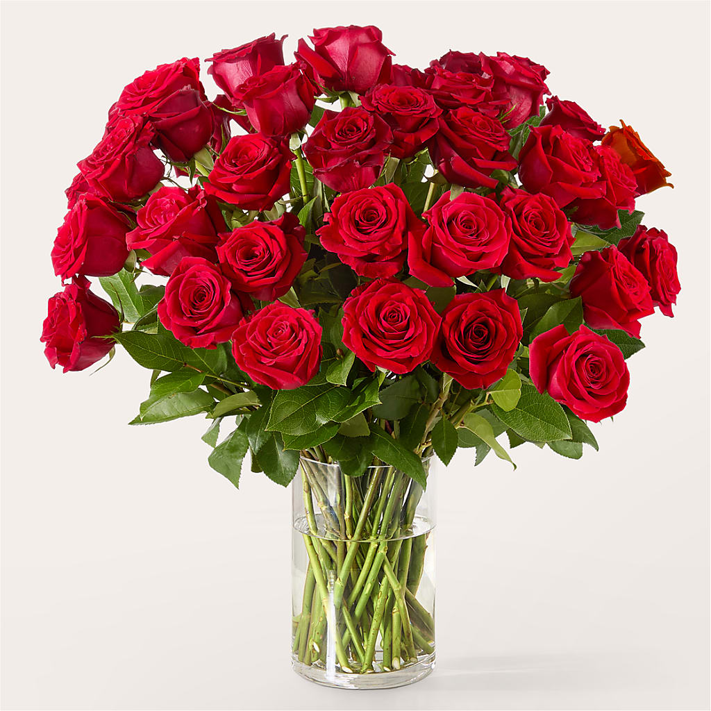The One Red Rose Bouquet –  Savannah Flower Market, Savannah GA