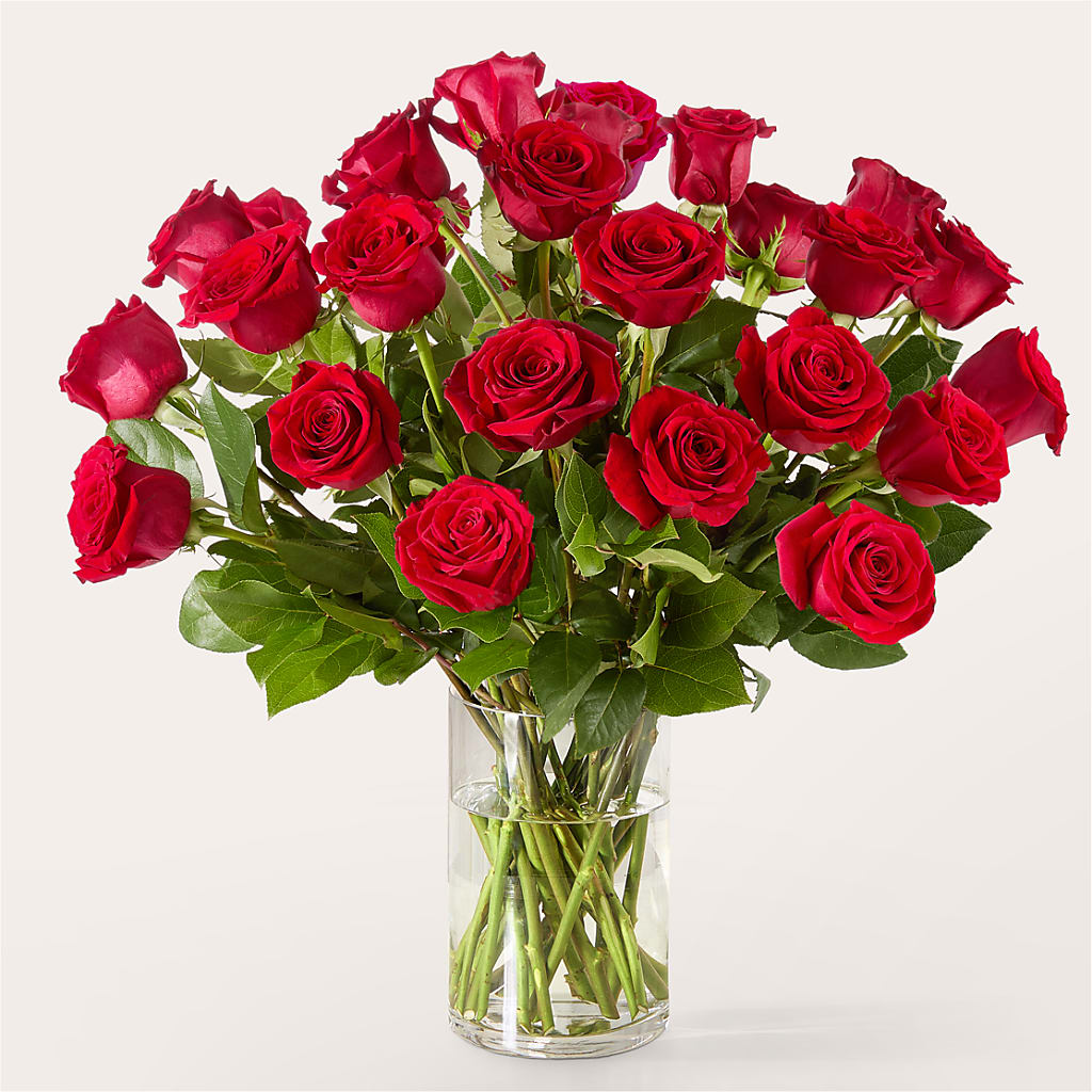 The One Red Rose Bouquet –  Savannah Flower Market, Savannah GA